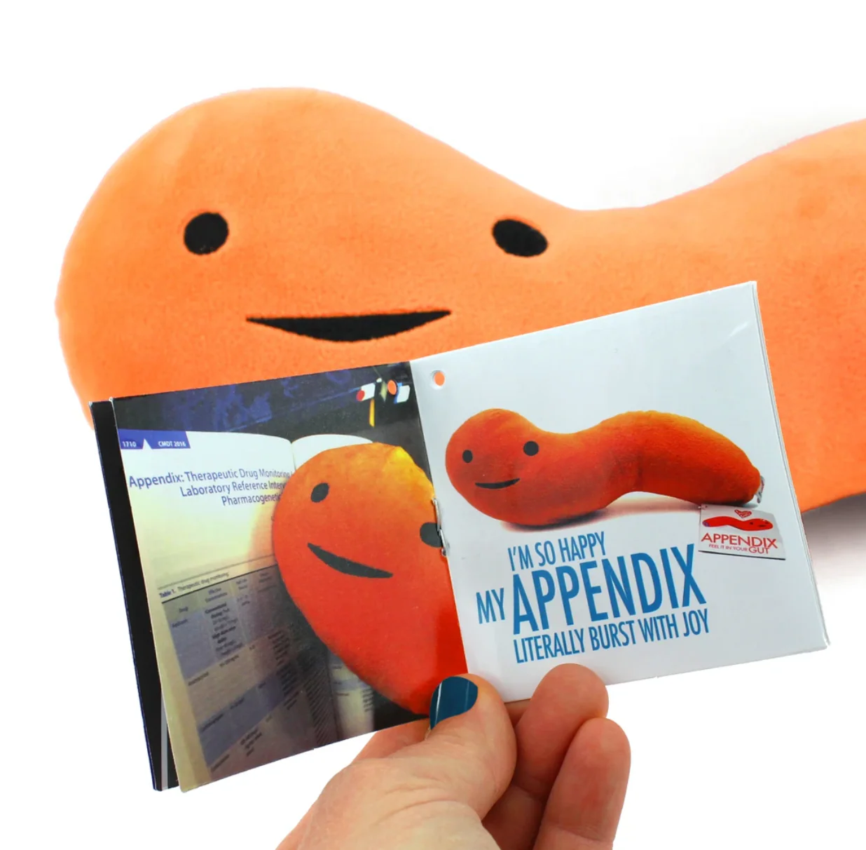 Appendix - Image 3