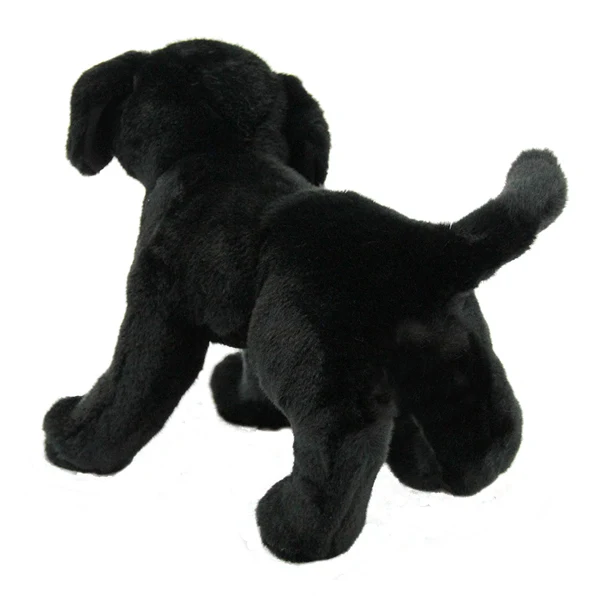 Black Lab Chester - Image 3
