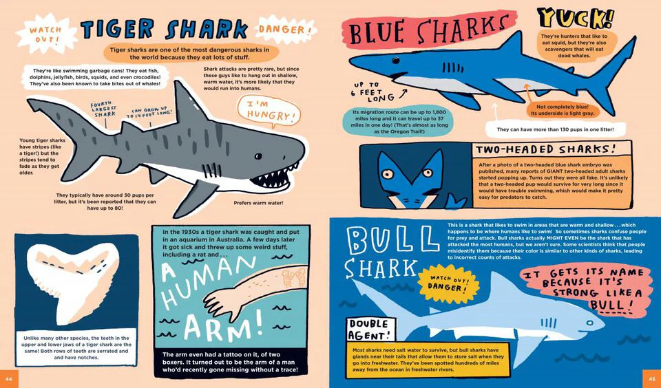 Everything Awesome About Sharks - Image 3