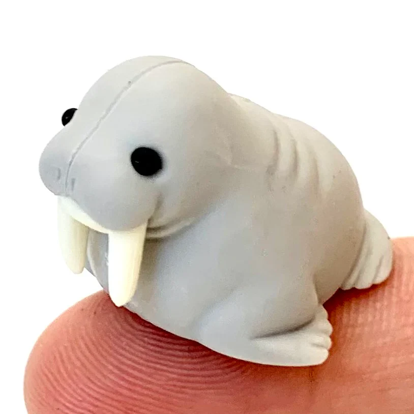 Japanese Eraser Sea Friend - Image 4