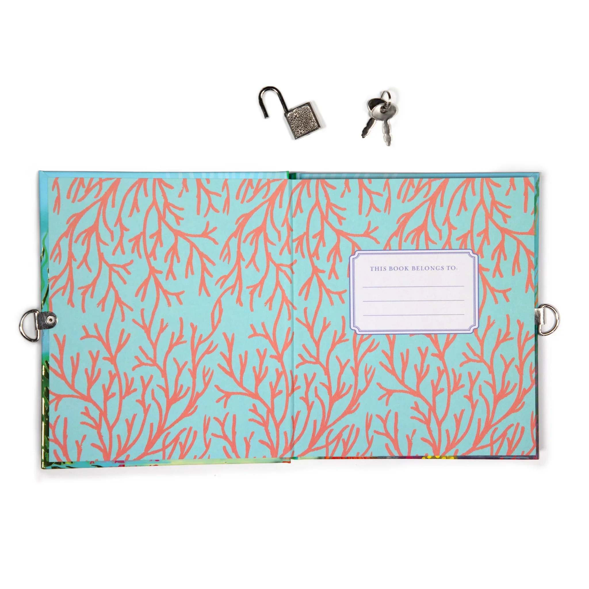 Sharks & Friends Diary - Image 4