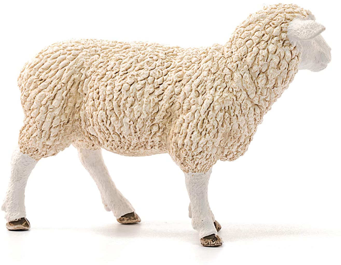 Sheep - Image 3