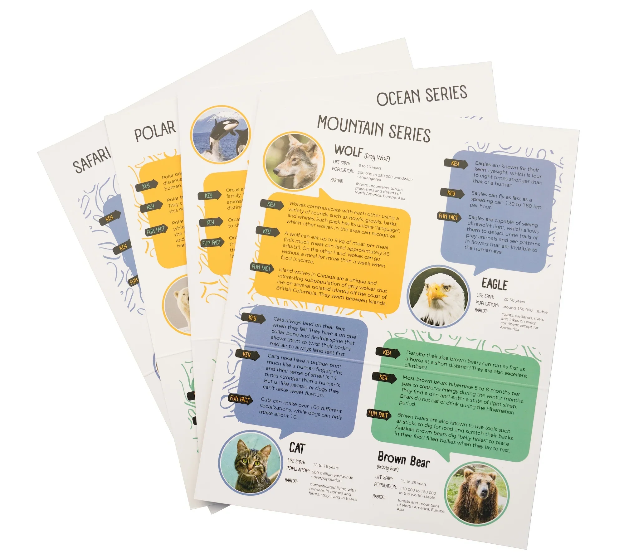 Soapstone Carving Kit | Penguin - Image 5