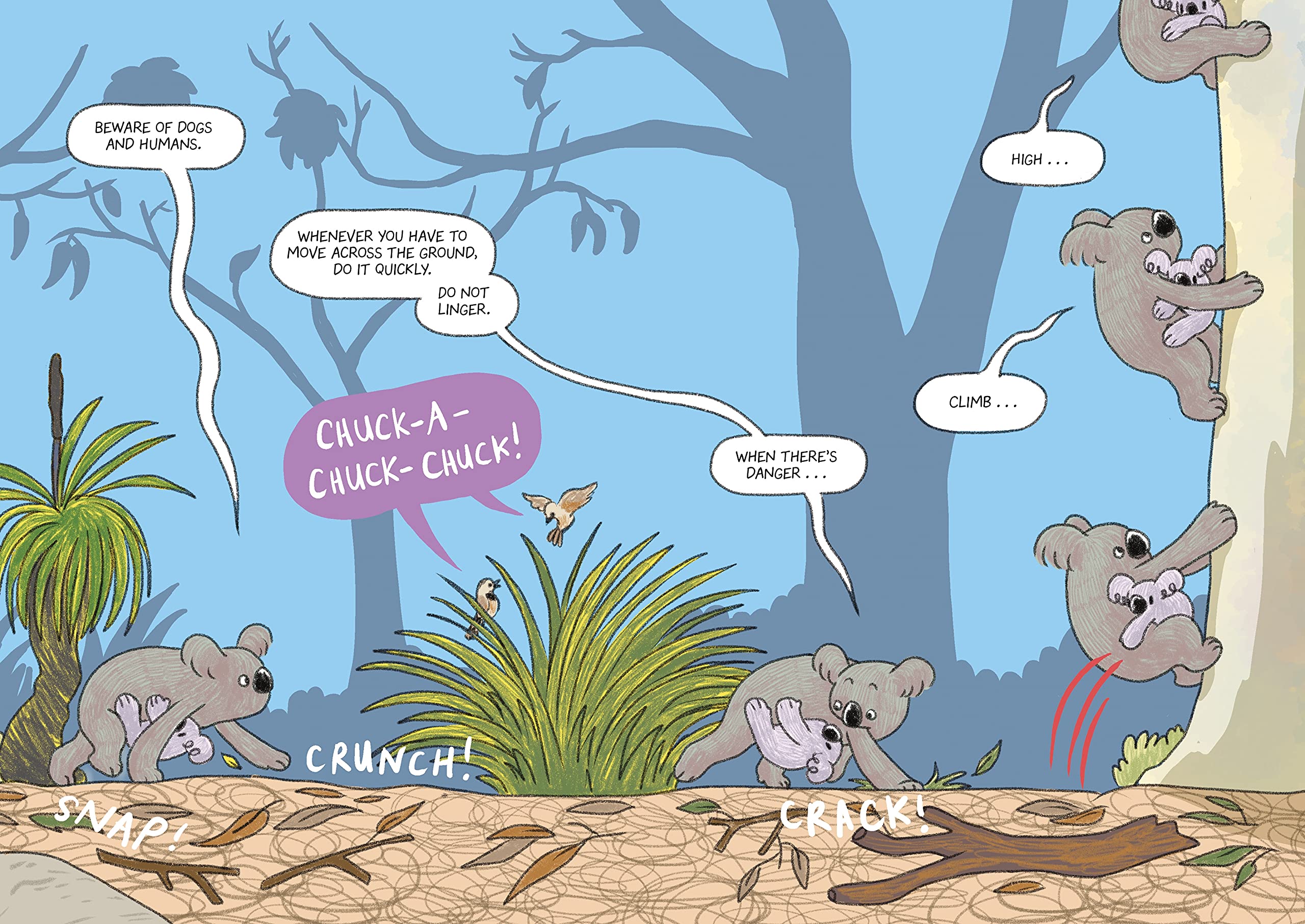 Surviving the Wild: Rainbow the Koala - Image 3