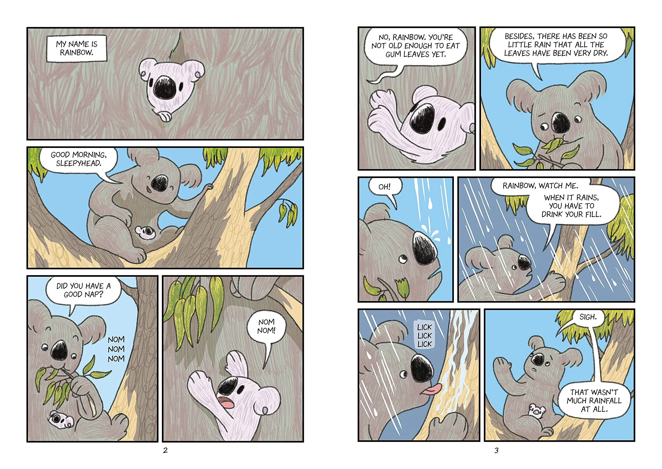 Surviving the Wild: Rainbow the Koala - Image 6