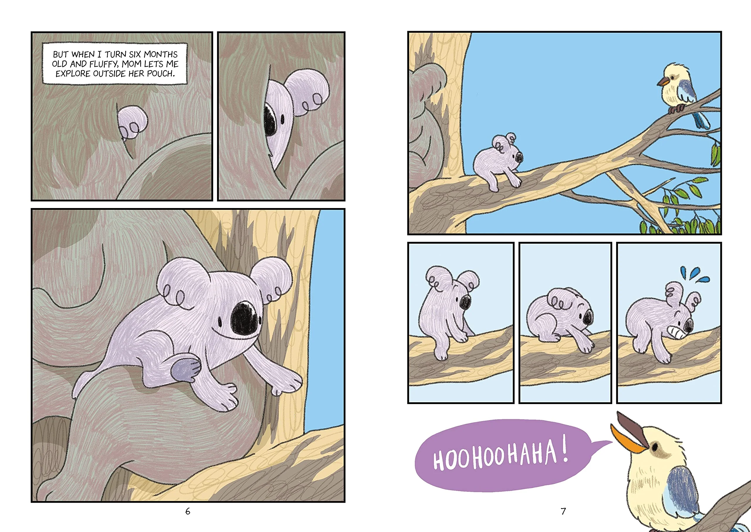 Surviving the Wild: Rainbow the Koala - Image 7