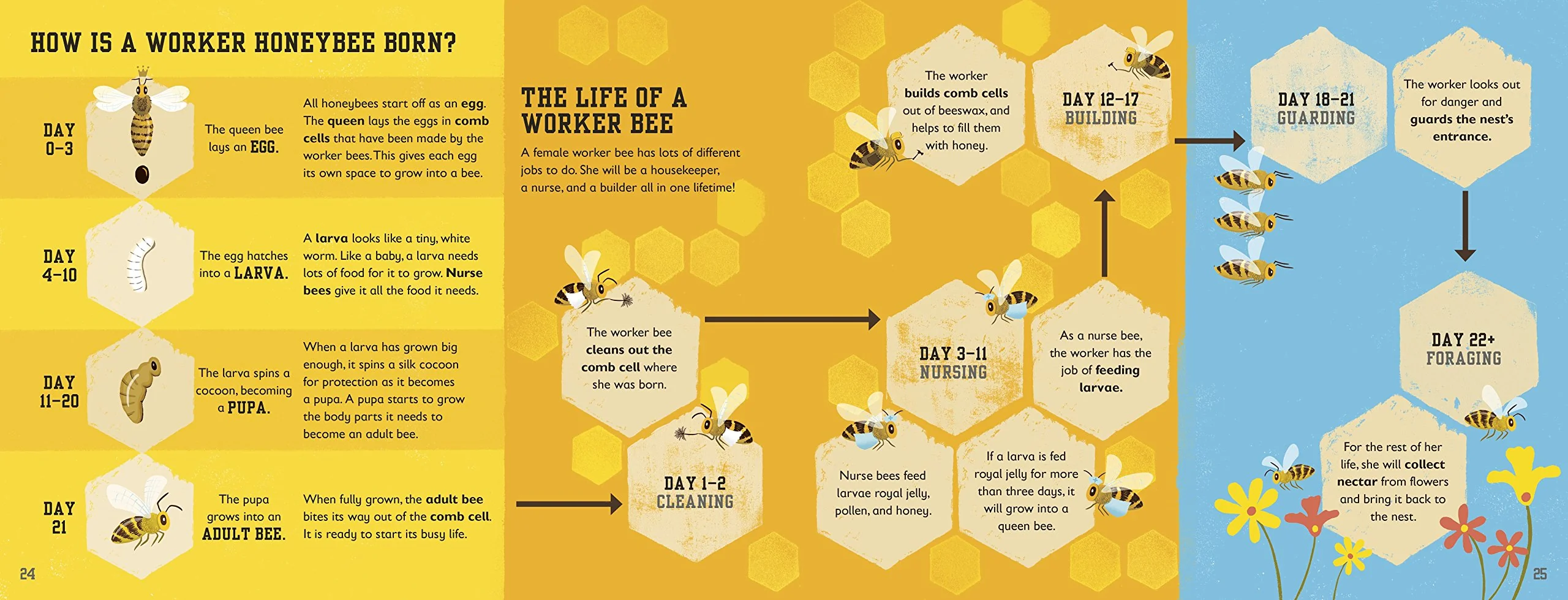 The Bee Book - Image 4